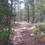 Cuchara Recreation Area – Indian Creek Trail Photo Gallery