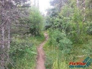 Cuchara Recreation Area Indian Creek Trail Bakers Trail Narrow Uphill