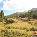 Cuchara Recreation Area Trinchera Peak Tree Line Uphill