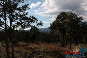 Cedro Peak North