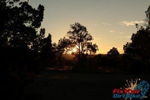 Sunset through Trees