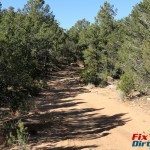 Penrose Commons 2 track trail pine trees