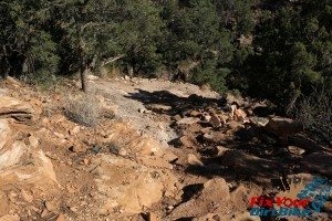 Penrose Commons Canyon down