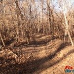 School Creek ORV Dead tree trail