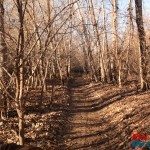 School Creek ORV Dead wood wide open trail