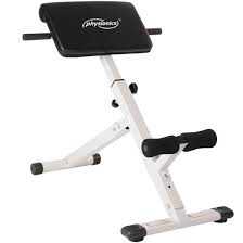 Motorcycle Fitness Back Extention Bench