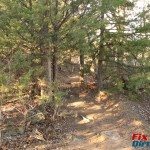 School Creek ORV Tight Pin tree Trail