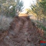 School Creek ORV rutted hill wide