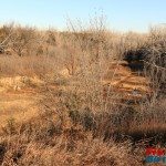 School Creek ORV steep hill run up