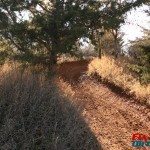 School Creek ORV sweet berm