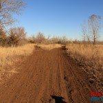 wide open tall grass