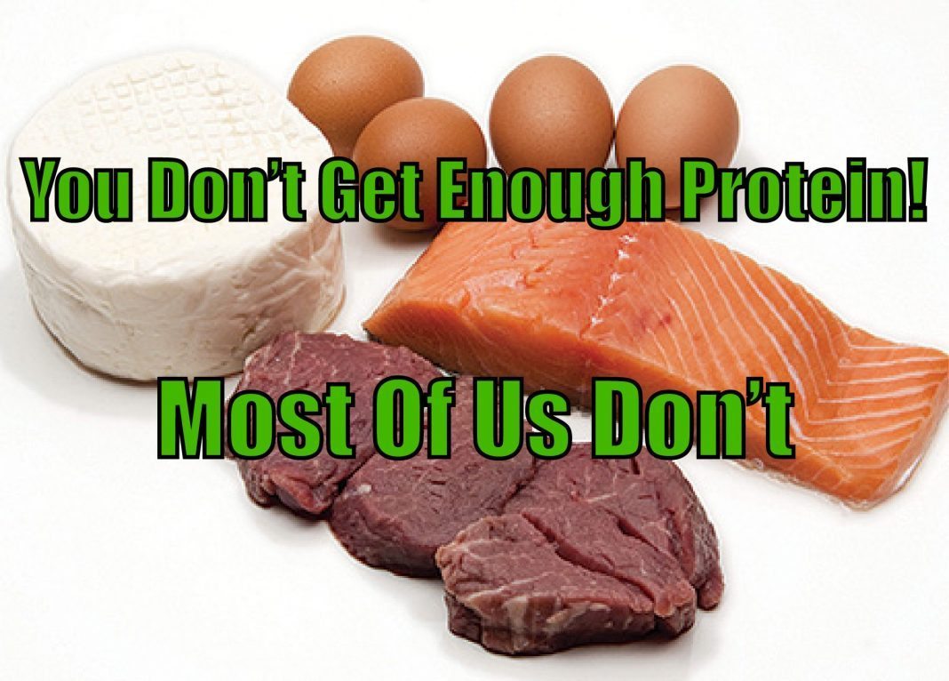 Rider Nutrition: The Effects Of Not Eating Enough Protein