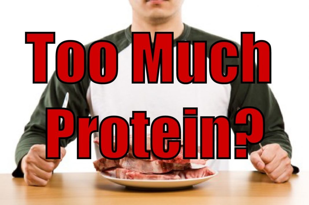 Rider Nutrition: The Effects Of Too Much Protein