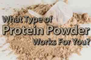 Rider Nutrition: What Type of Protein Powder Will Work For You?