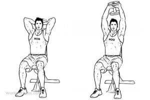 Rider Fitness: Upper Arm Strength Overhead Bumbell Tricep Extensions