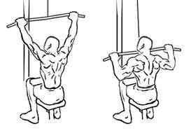 Illustration of Lat Pulldowns