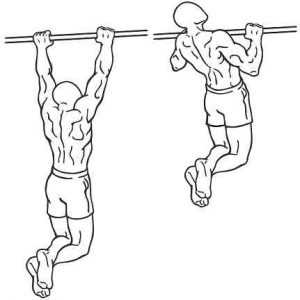 illustration of Pull Ups