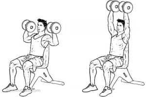 Rider Fitness: Seated Shoulder Press