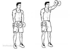 Rider Fitness: Shoulder Front Raises 2