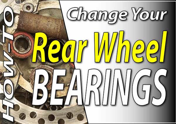 rear bike wheel bearings