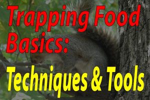 Trapping Food Basics Techniques And Tools - Featured